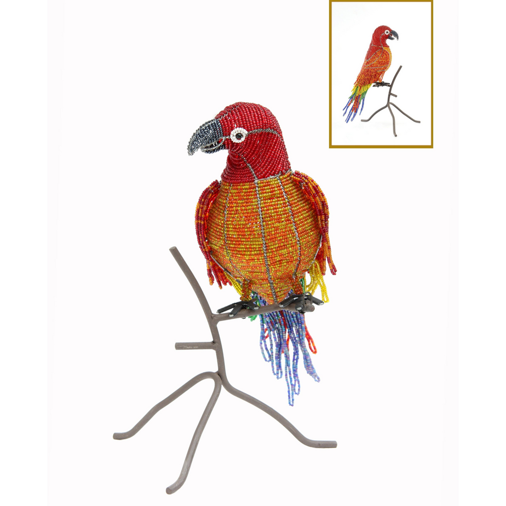 Red Parrot on Perch